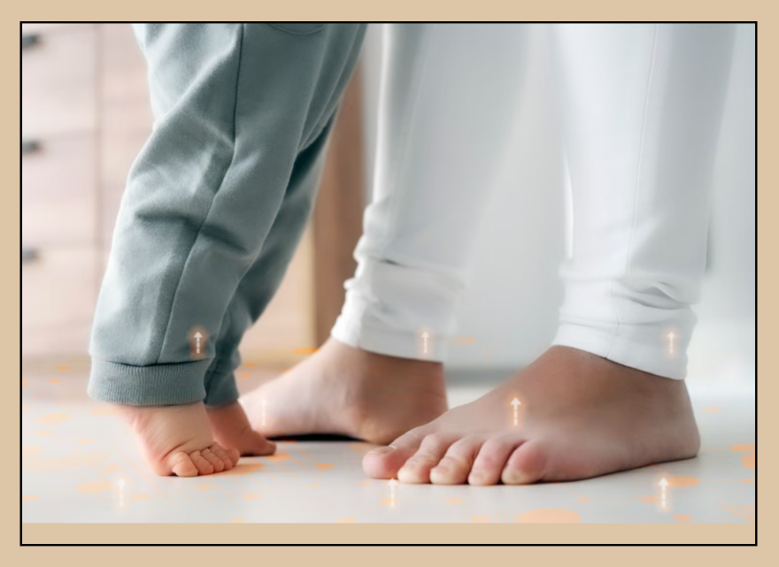 吉居客石墨烯电采暖，用科技重新定 义“健康温暖”，四大承诺，守护全家 过冬